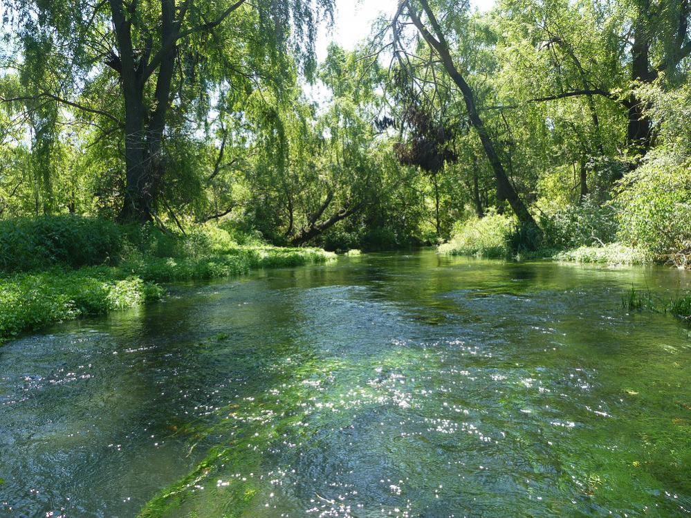 Donate Letort Regional Authority